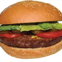 Hamburger برگر خونه